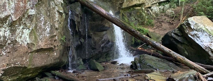 Baskin Creek Falls is one of Great Smoky Mountains.