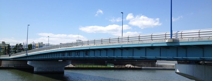 瑞穂大橋 is one of 江戸川CR.