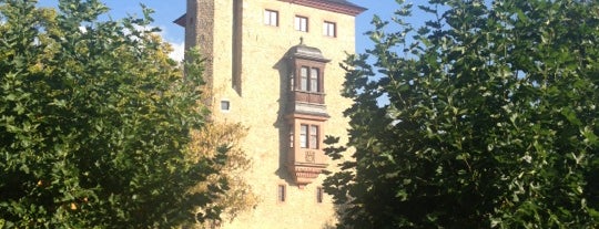 Schloss Vollrads is one of Rheingau.