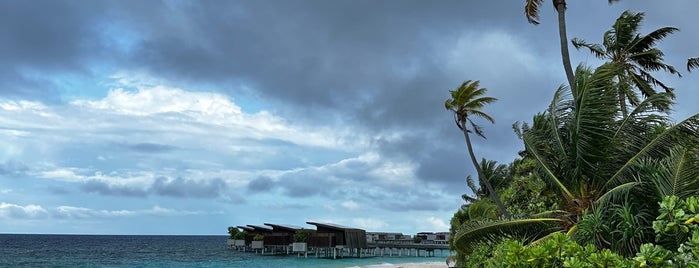 Park Hyatt Maldives Hadahaa is one of Favourite Hotels.