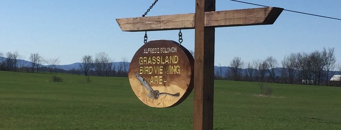 Alfred Z. Solomon Grassland Bird Viewing Area is one of Go - Day Trips near NYC.