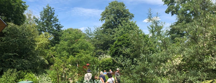Lokalzeit Garten is one of Lugares favoritos de K. Umut.