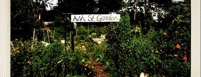 Ash Street Community Garden is one of check in 2012.