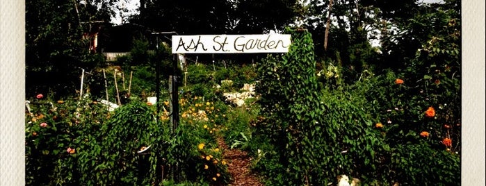 Ash Street Community Garden is one of The Great Baltimore Check-In 2012.