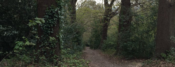 Beaulieu Heights is one of London Parks and Outdoor Spaces.