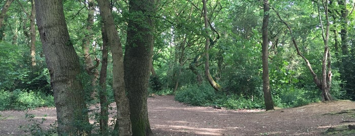 Tooting Graveney Common is one of London Parks.