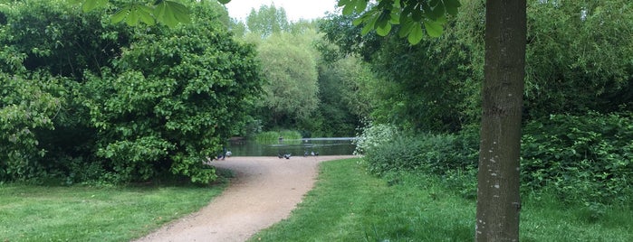 Tooting Bec Common is one of Green Space, Parks, Squares, Rivers & Lakes (One).