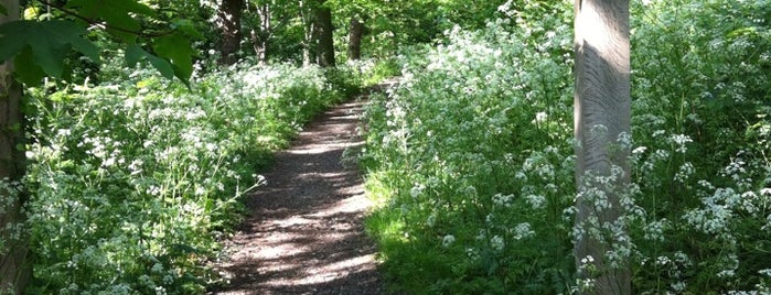 Petersham Meadows is one of Asliさんのお気に入りスポット.