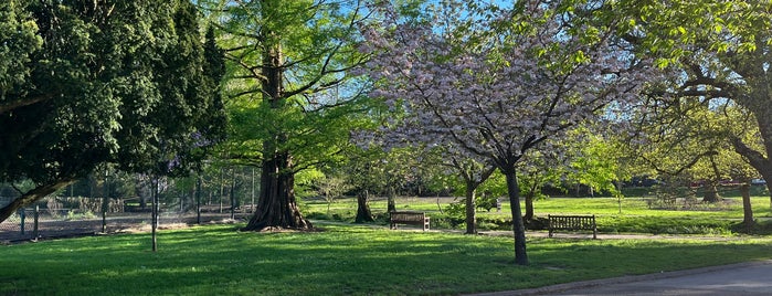 Roath Pleasure Gardens is one of TipsMade.
