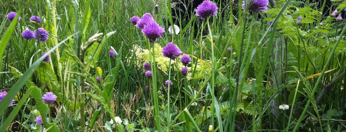 Agnes Riley Gardens is one of London Parks.