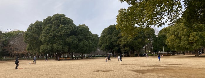 Gyoda Park is one of 立ち寄り先.