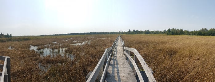 Frink Conservation Area is one of Mattさんのお気に入りスポット.