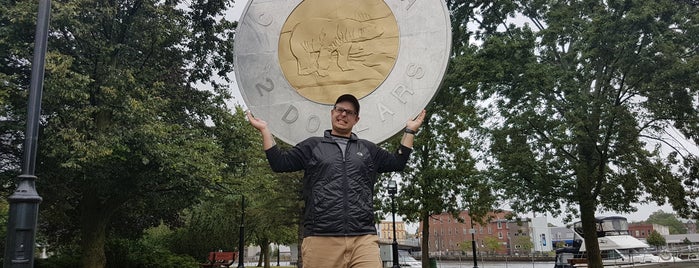 Giant Toonie is one of Matt’s Liked Places.