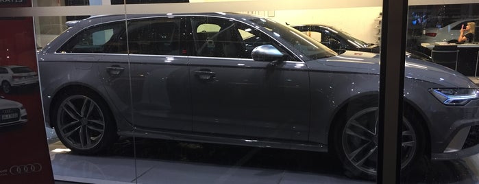 Audi Sorana is one of Dealer II.