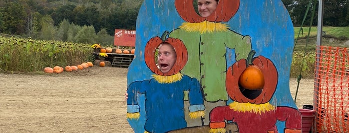 Dykemans Pumpkin Patch is one of Engagement photo shoots.