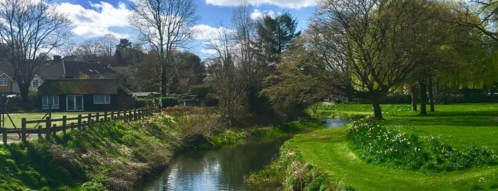 Gostrey Meadow is one of Farnham.