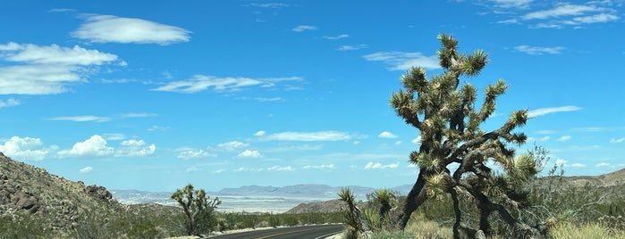 Joshua Tree National Park is one of Palm Springs.