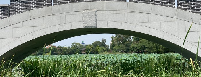 Jeonju Deokjin Park is one of 전주.