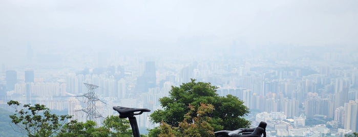 Kowloon Peak (Fei Ngo Shan) is one of The Hong Kong Tourist.