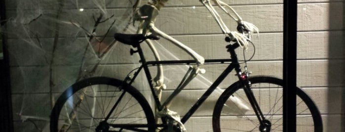 Trek Bicycle Store Of St Petersburg is one of Bike Rentals Florida.