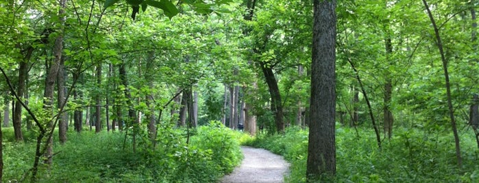 Cool Creek Park & Nature Center is one of Tempat yang Disukai Jared.