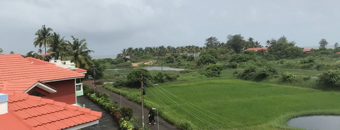 Benaulim is one of Goa.