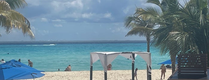 The Reef Beach is one of Riviera Maya Beaches.