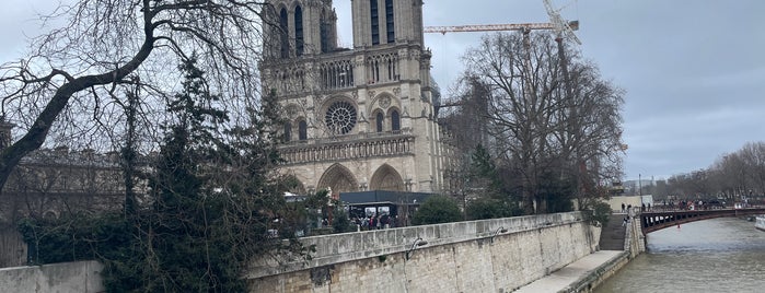 Parvis Notre-Dame — Place Jean-Paul II is one of Paris 🖼️🌳.