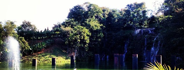 Jardim Botânico de Jundiaí "Valmor de Souza" is one of Eventos.