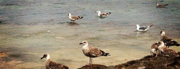 Qué visitar en La Graciosa