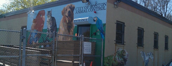 City of Boston - Animal Shelter is one of City of Boston Properties.