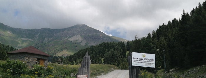 Balık Gölü is one of Artvin.