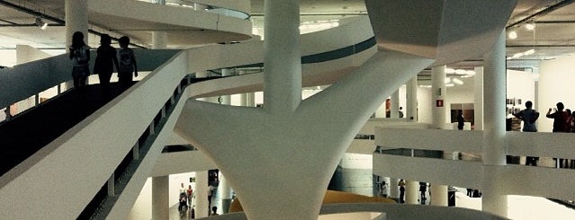 Museu de Arte Moderna de São Paulo (MAM) is one of S&P500.