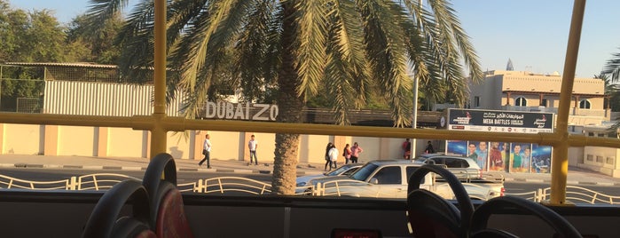 The Zoo Concept is one of Dubai.