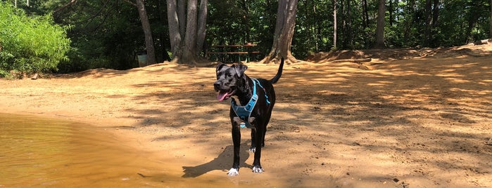 Timber Creek Park - Dog Park is one of My favorites.