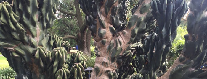 Royal Botanic Garden is one of Lugares favoritos de Jason.