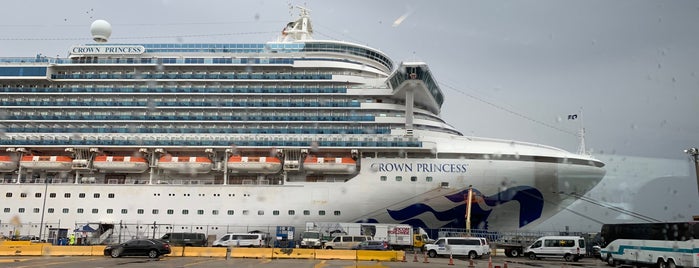 Princess Cruises is one of Caribbean Cruise - 11/2023.