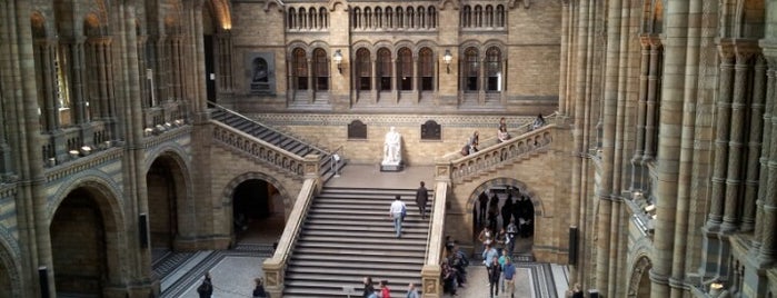 Musée d'Histoire Naturelle de Londres is one of London.