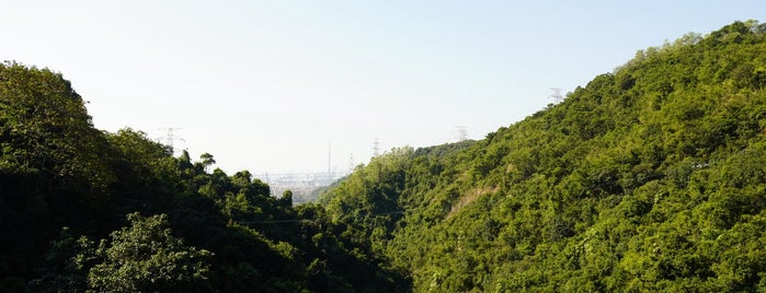Kowloon Byewash Reservoir is one of 香港水塘.