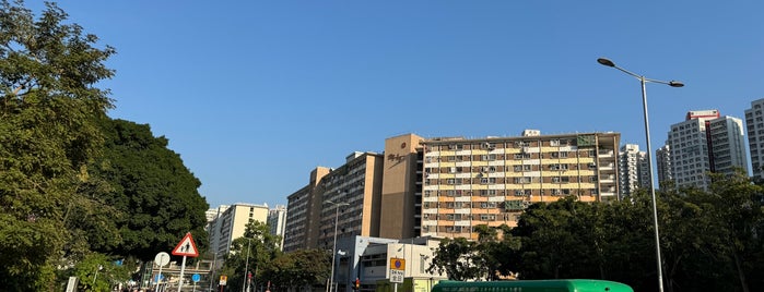 Lung Hang Estate is one of 公共屋邨.