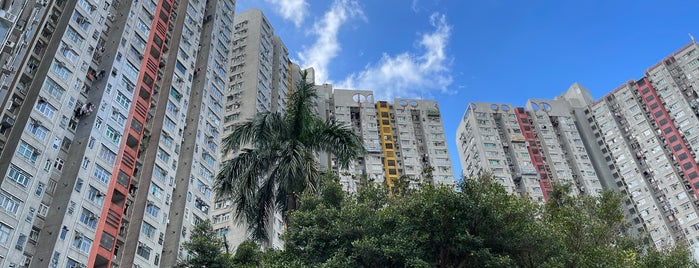 Tin Ping Estate is one of 公共屋邨.