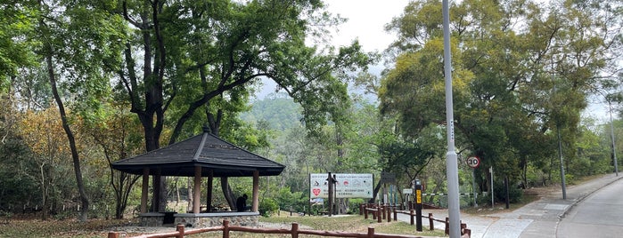 Lantau Trail (Section 8) is one of Hiking HKG.