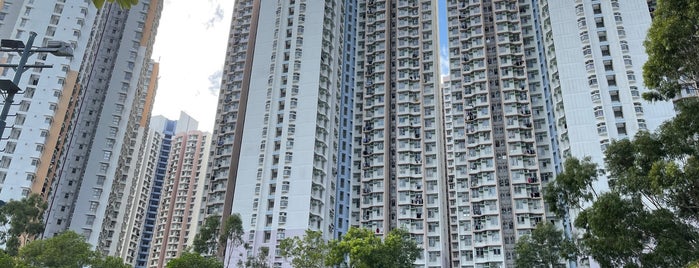Shek Pai Wan Estate is one of 公共屋邨.