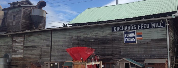 Orchards Feed is one of Tempat yang Disukai Ricardo.