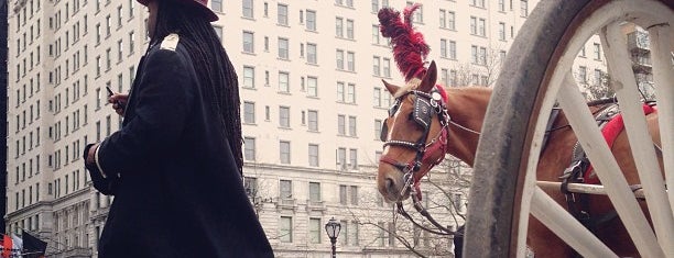 The Plaza Hotel is one of Manhattan Favorites.