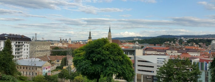 Parcul Cetățuia is one of cluj.