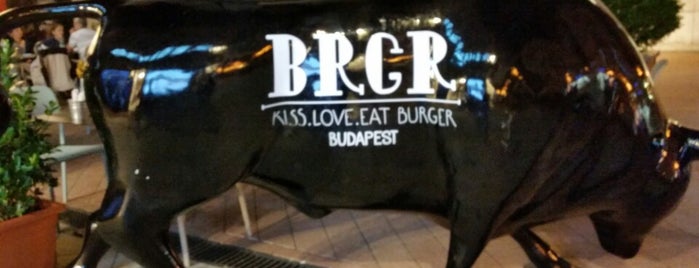 BRGR is one of Kaja.