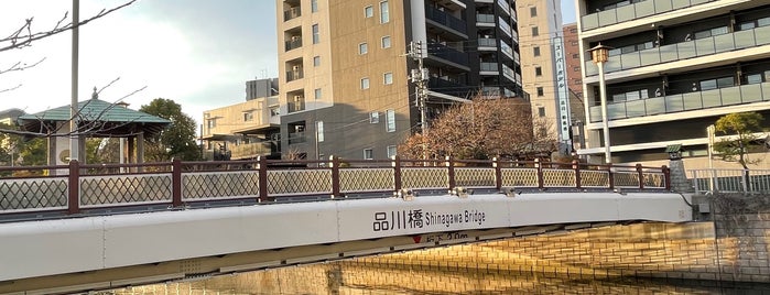 Shinagawa Bridge is one of 渡った橋（東京都区内）.