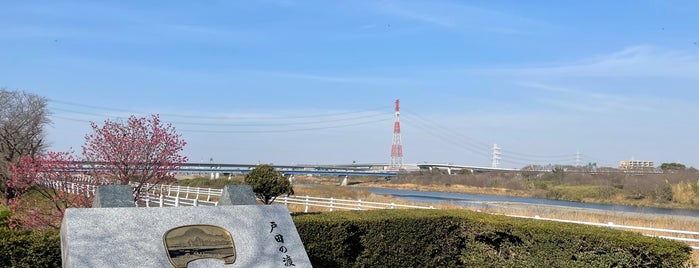 戸田の渡し is one of 大山道.
