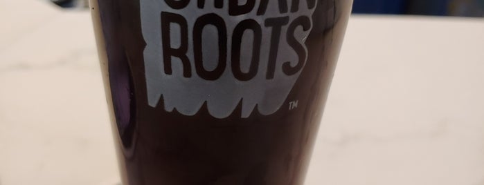 Urban Roots Brewing & Smokehouse is one of sac.